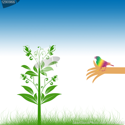 Image of Environmental concept