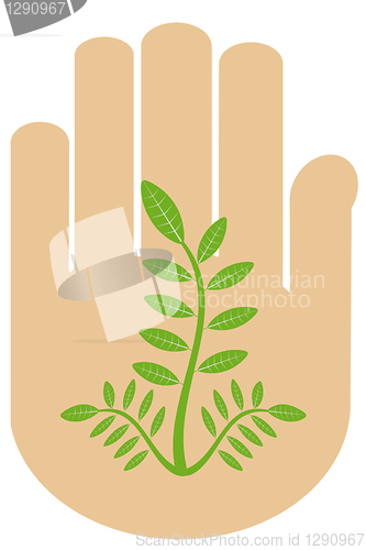 Image of Hand and tree