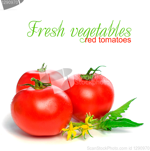 Image of Red Tomato Isolated on White Background