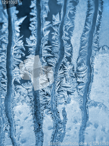 Image of Frosty natural pattern