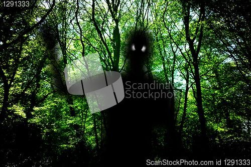 Image of Ghost In The Woods