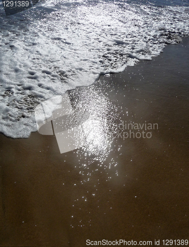 Image of Tidal Water Close Up 