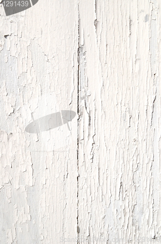 Image of Cracked White Paint