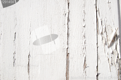 Image of Cracked White Paint