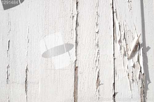 Image of Cracked White Paint