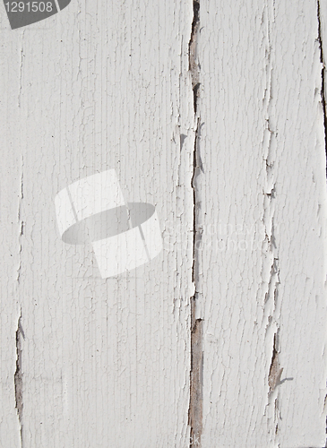 Image of Cracked White Paint
