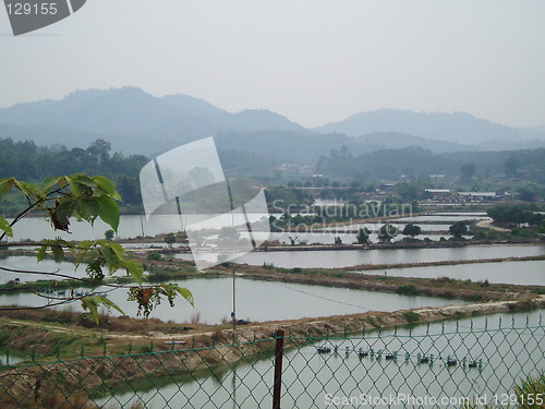 Image of Fresh Water Fish Ponds