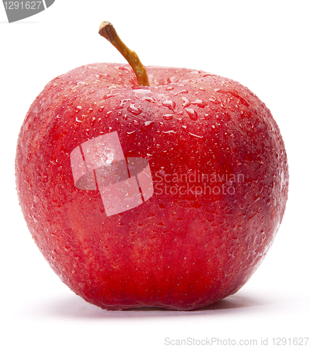 Image of Red Apple