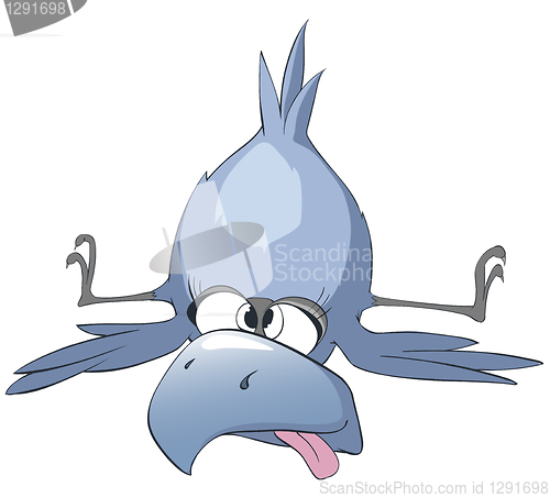Image of Cartoon Character Funny Bird