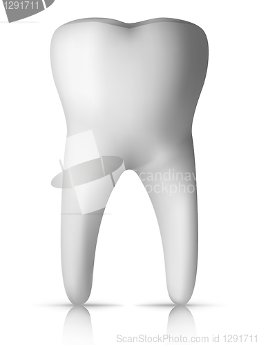 Image of Molar Tooth