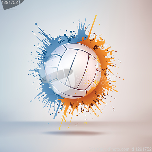 Image of Volleyball Ball