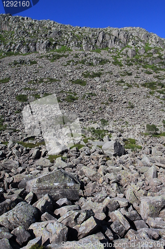 Image of Scree