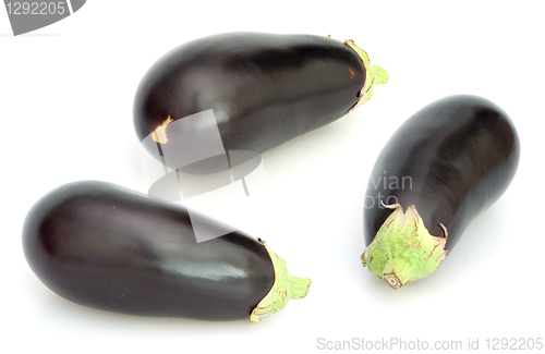 Image of Eggplant / aubergine 