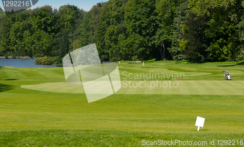 Image of Golf Course in Forest