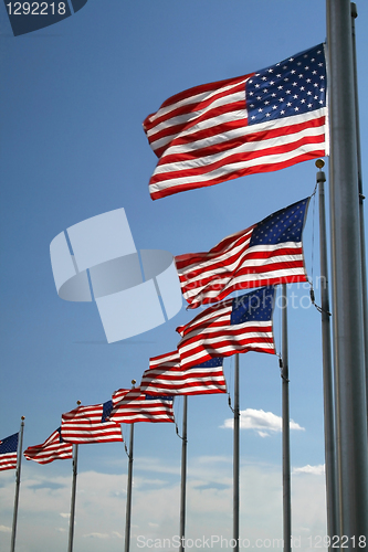 Image of American flags 