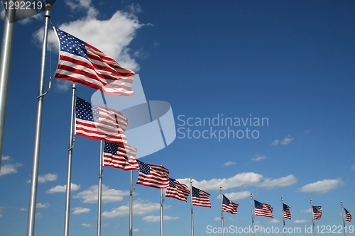 Image of American flags 