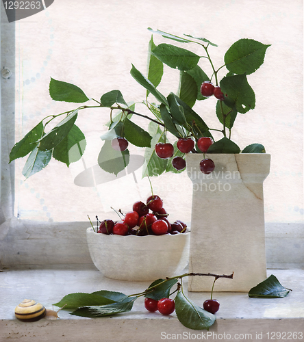 Image of cherry and snail