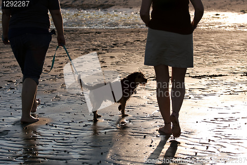 Image of Women Walking The Dog