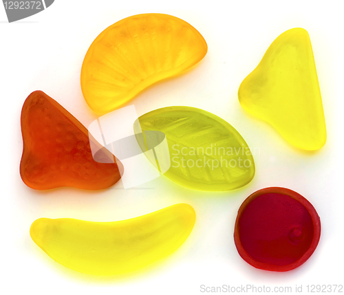 Image of Jellies
