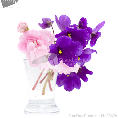 Image of Tropic Flowers in Vase Isolated