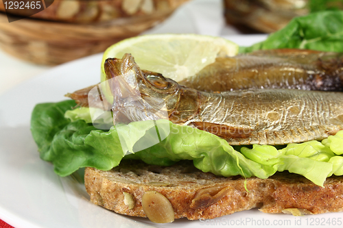 Image of Sprats