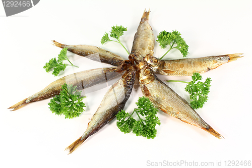 Image of Sprats