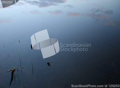 Image of Summer night lake