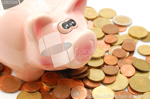 Image of piggy bank and money