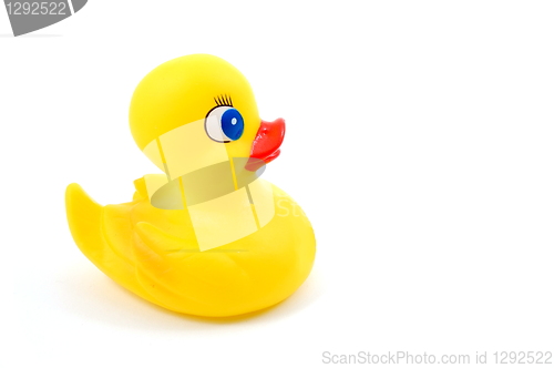 Image of toy rubber duck 