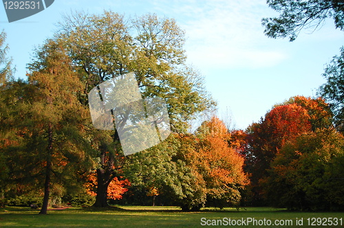 Image of fall in the park with green trees under blue sky