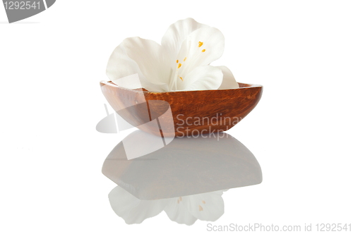 Image of flower