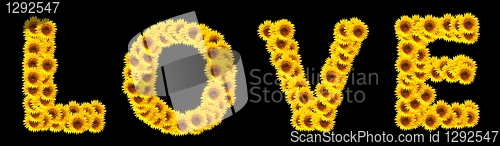 Image of love