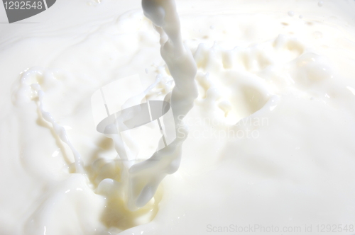 Image of milk splash