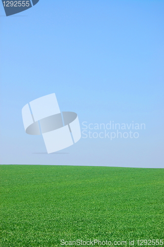 Image of green landscape