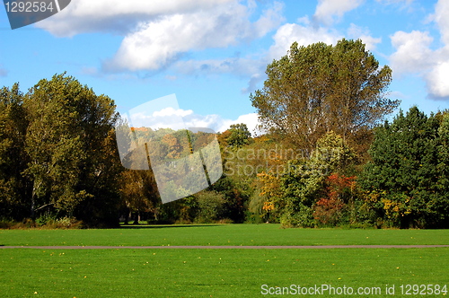 Image of forest and garden under blue sky at fall