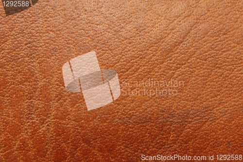 Image of leather texture