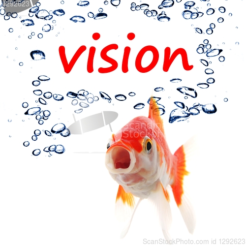 Image of vision