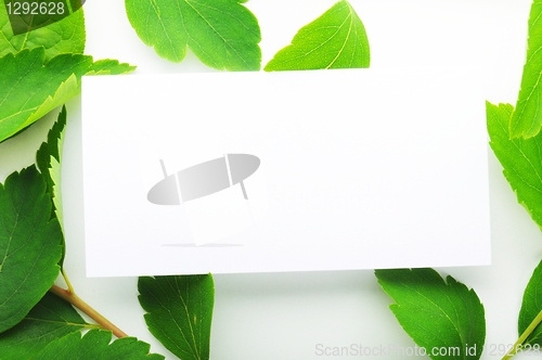 Image of blank paper