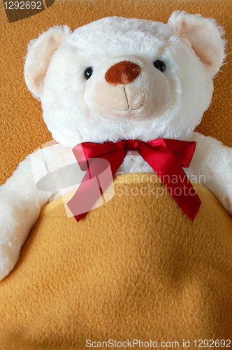 Image of sick teddy bear