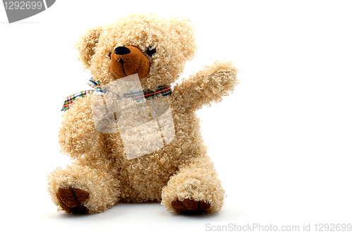 Image of teddy bear isolated on white background