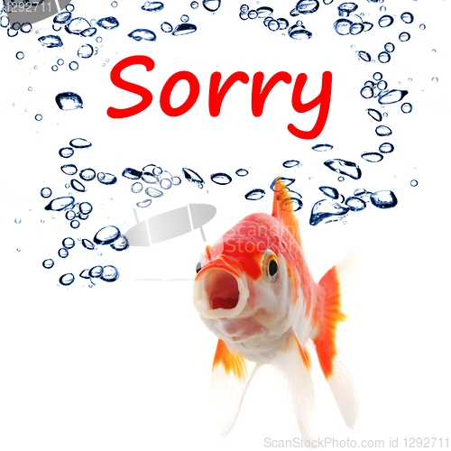 Image of sorry