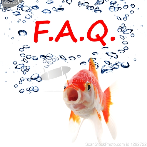 Image of faq