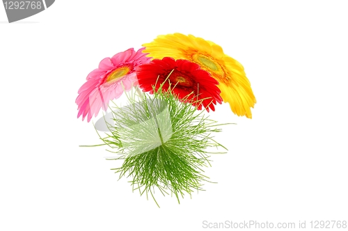 Image of flower