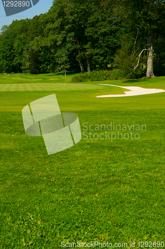 Image of Golf Course in Forest 