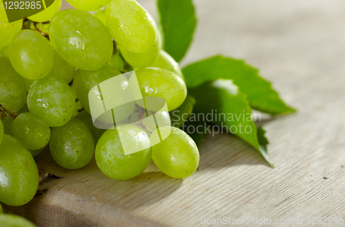 Image of fresh green grapes