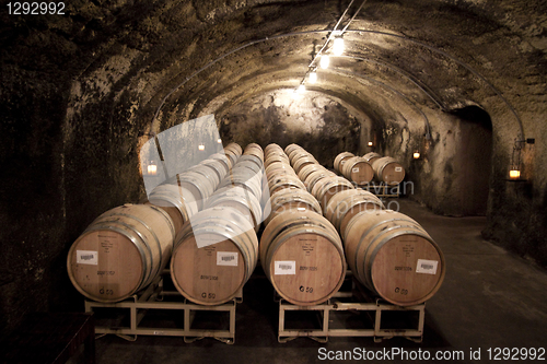 Image of Cave Cellar