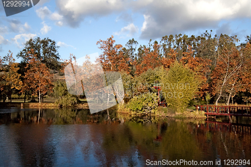 Image of Pond in the Fall