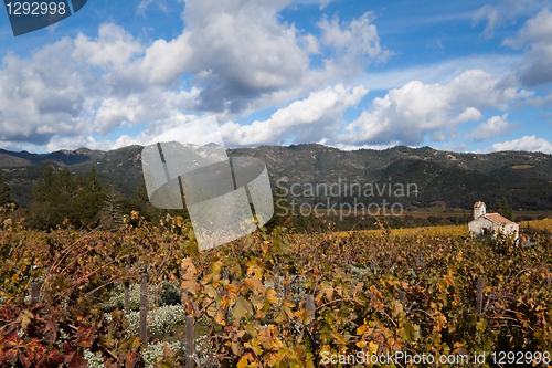 Image of Napa Valley