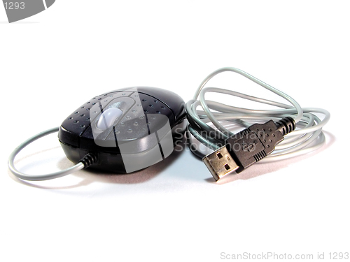 Image of Mouse with USB