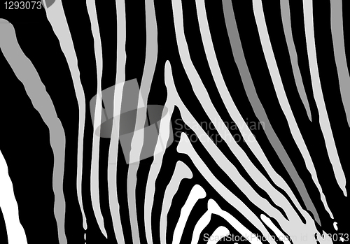 Image of easy zebra texture